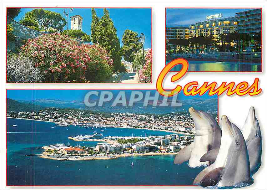 CPM Cote d'Azur French Riviera Cannes Alpes Maritimes Dauphins