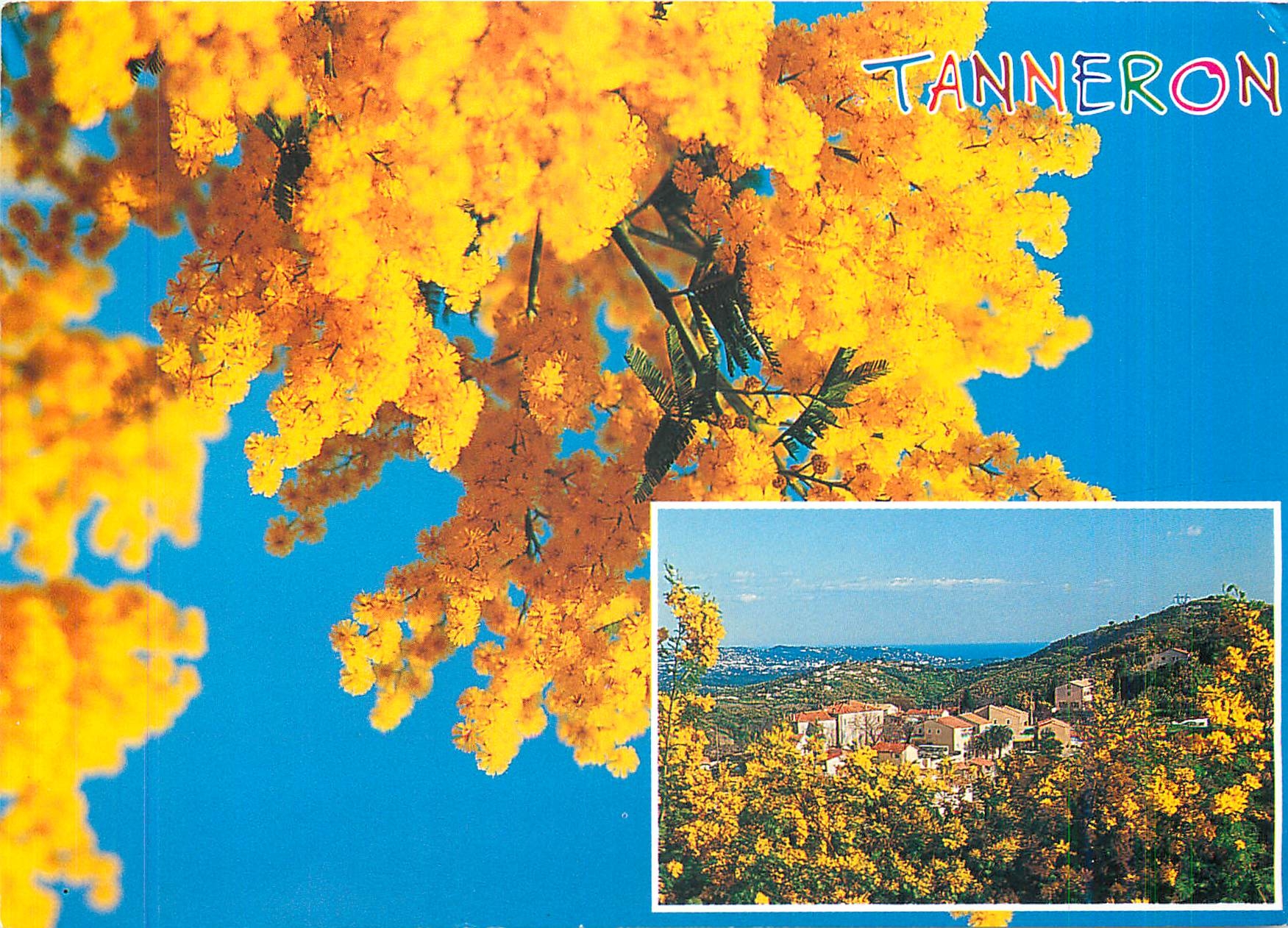 CPM Tanneron Route d'Or Janvier Fevrier Mars 