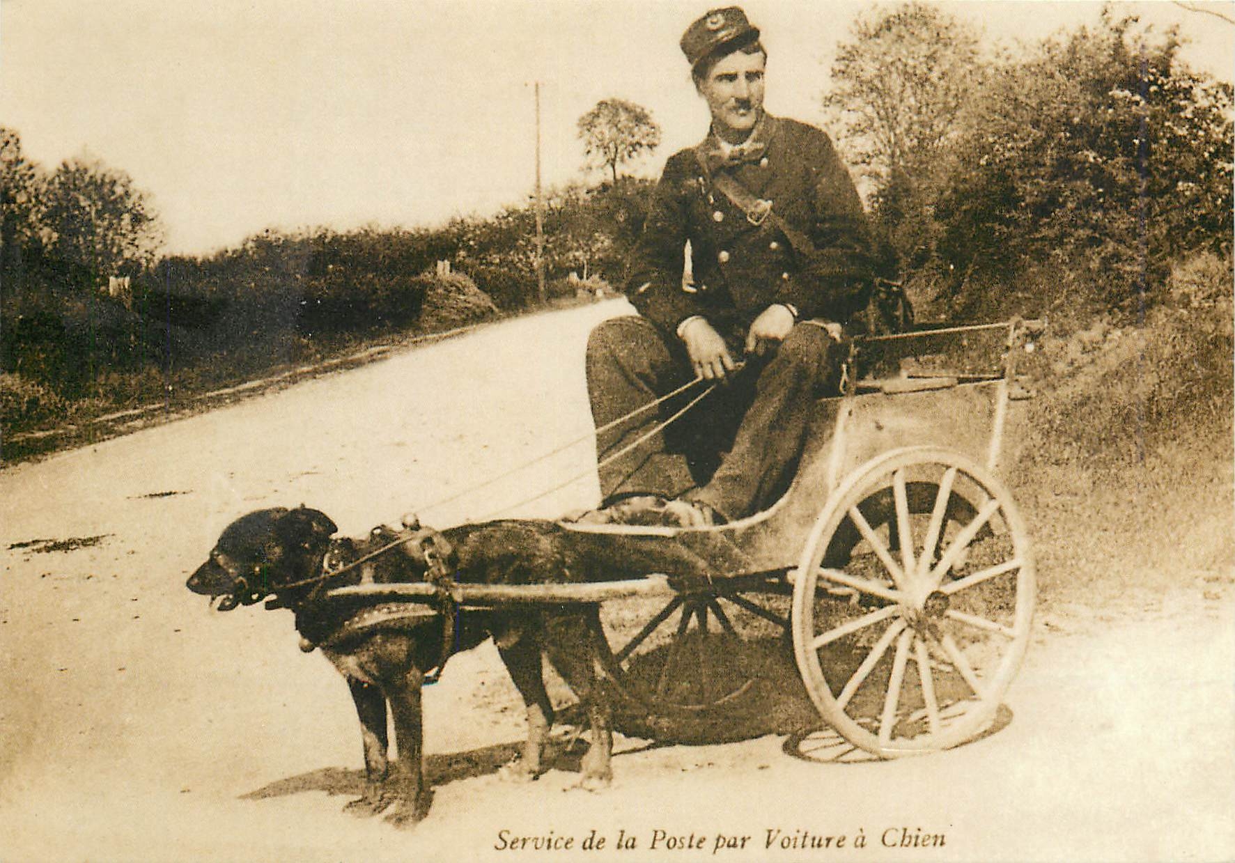 CPM Service de la Poste par Voiture a Chien Briare Loiret