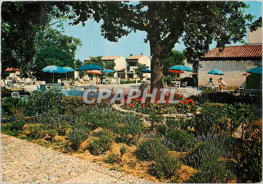 CPM La Colle sur Loup Alpes Maritimes La terrasse fleurie VVF