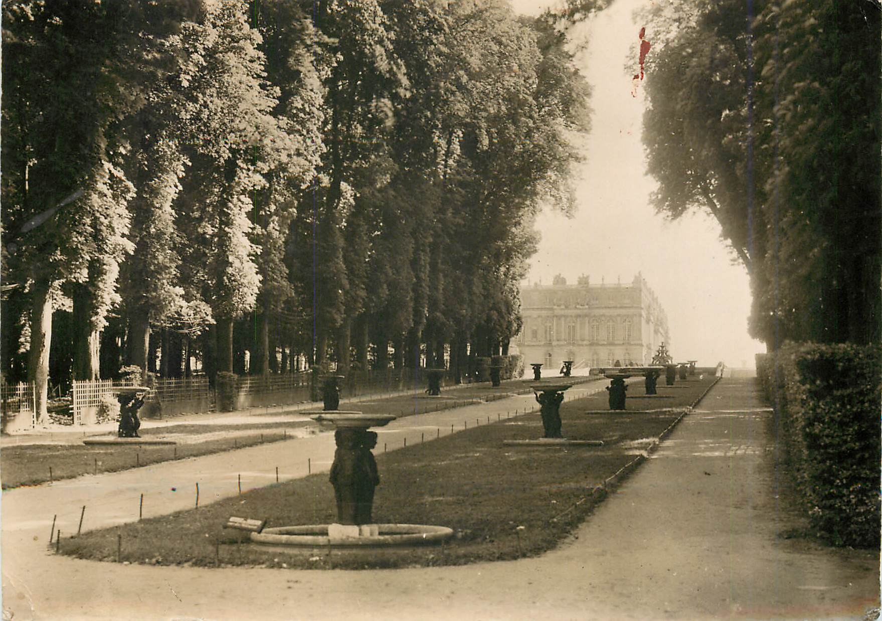 CPM Versailles Les jardins du Chateau L'Allee d'eau 