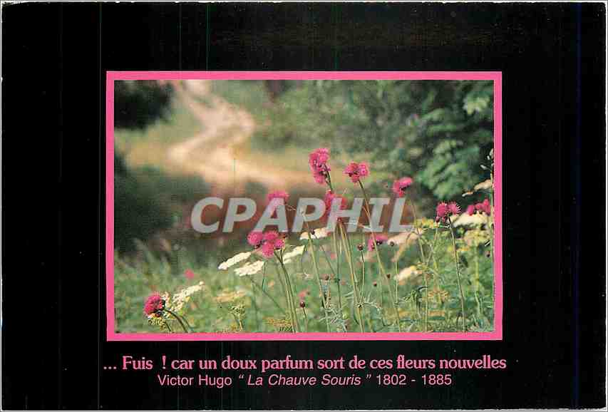 CPM Fuis car un doux parfum sort de ces fleurs nouvelles Victor Hugo La Chauve Souris 
