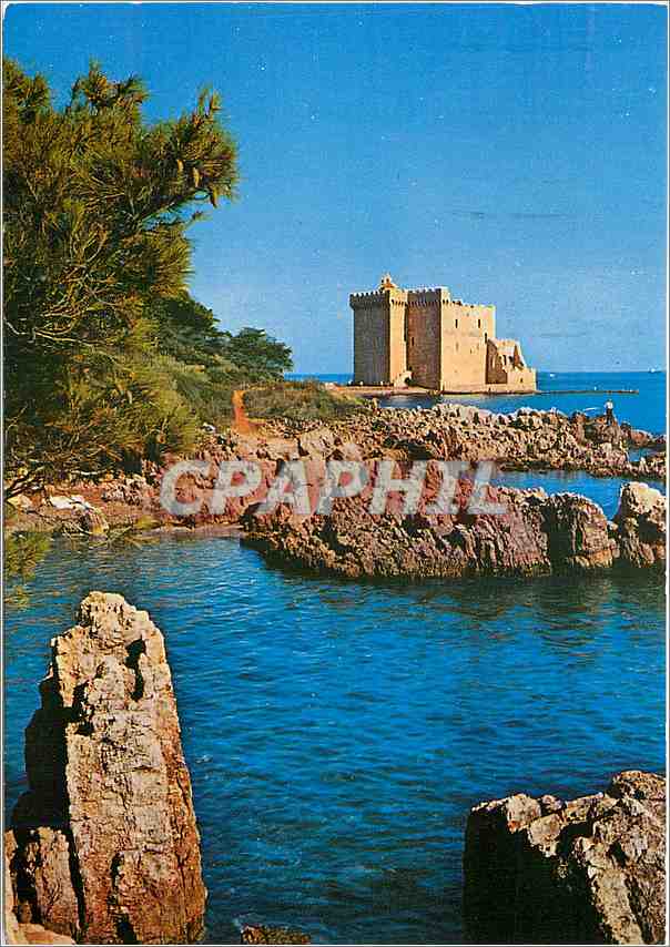 CPM Environs de Cannes Ruines du vieux Chateau fortifie de l'Abbaye de Lerins 