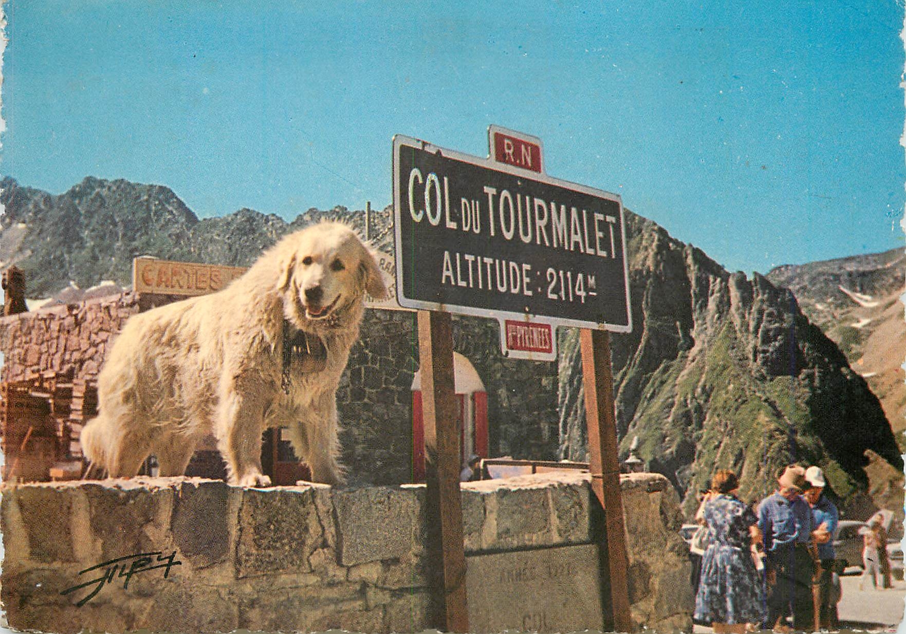 Col du Tourmalet — Chien de montagne — Cartes Alpy