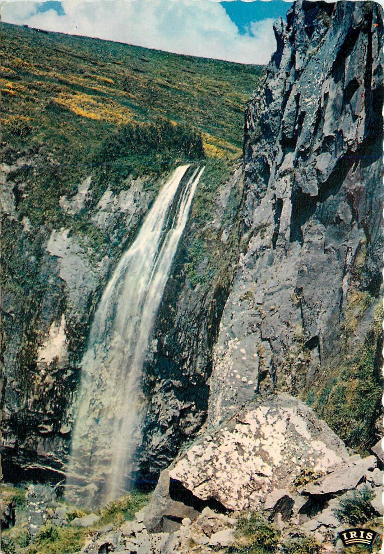 CPM L'Auvergne La Grande Cascade du Mont Dore 