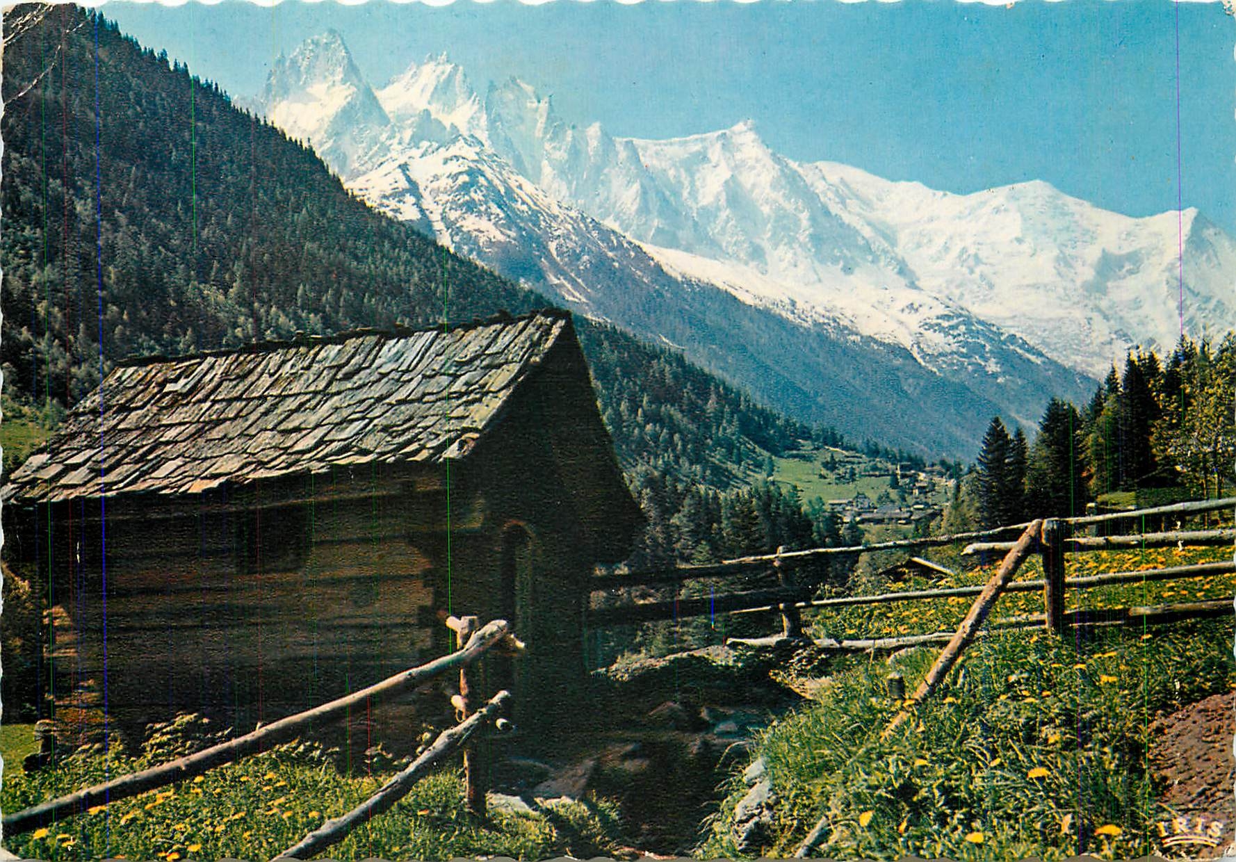 CPM Chamonix Mont Blanc Panorama sur les Aiguilles de chamonix et le Mont Blanc 