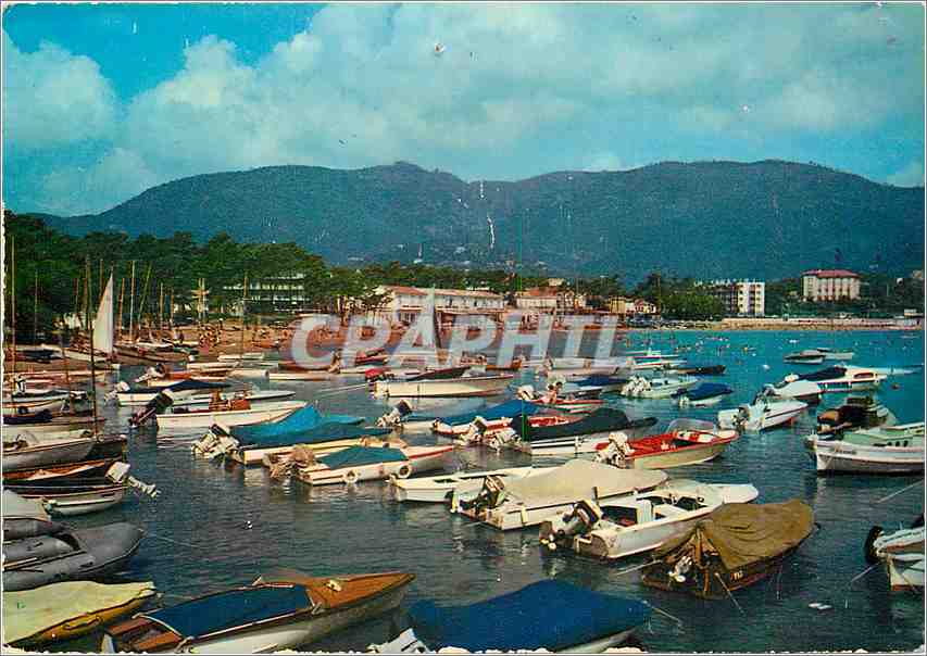 CPM Cavalaire sur Mer Var Le Port 