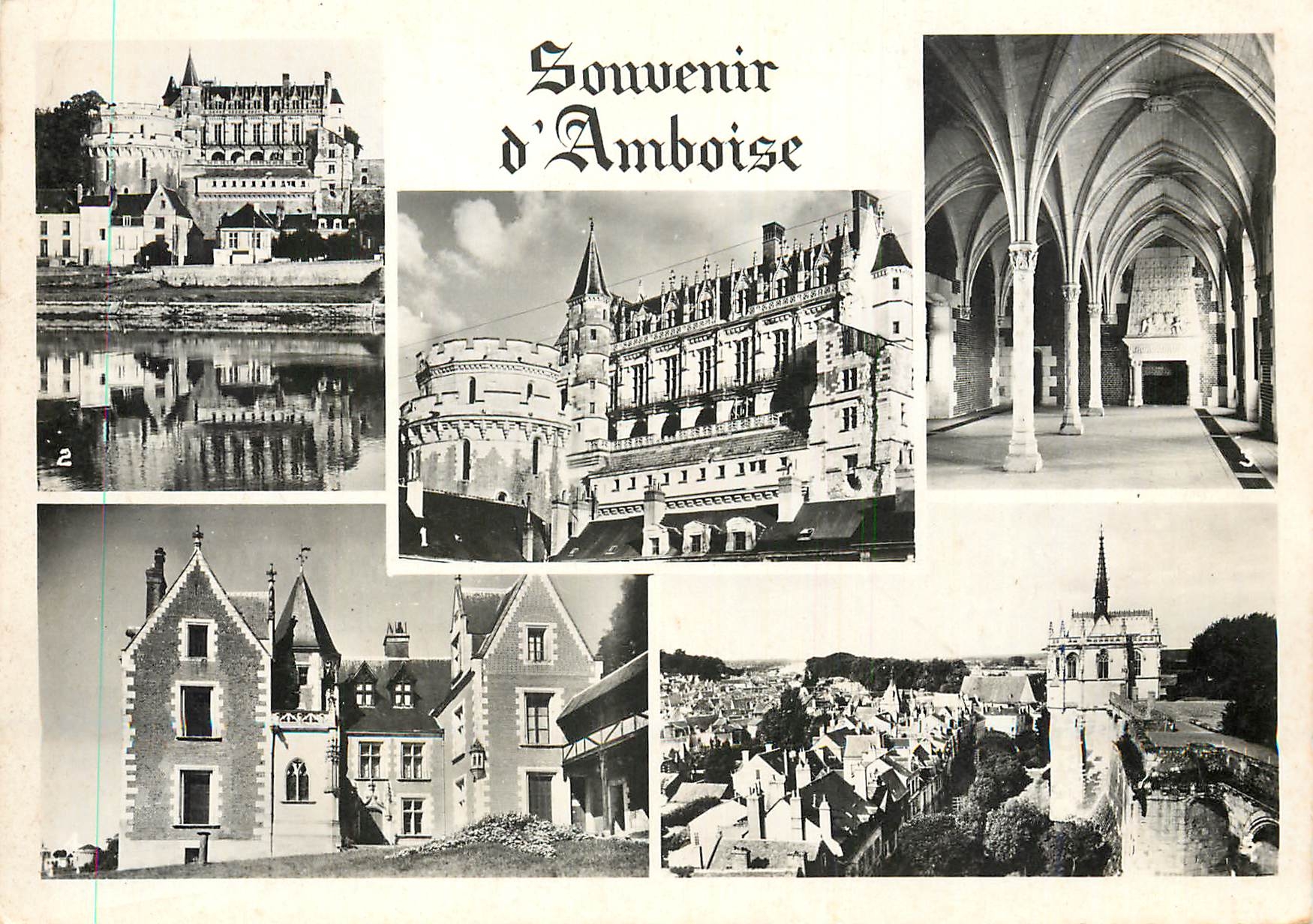 CPM Amboise Facade du Chateau Le Chateau et la Loire 