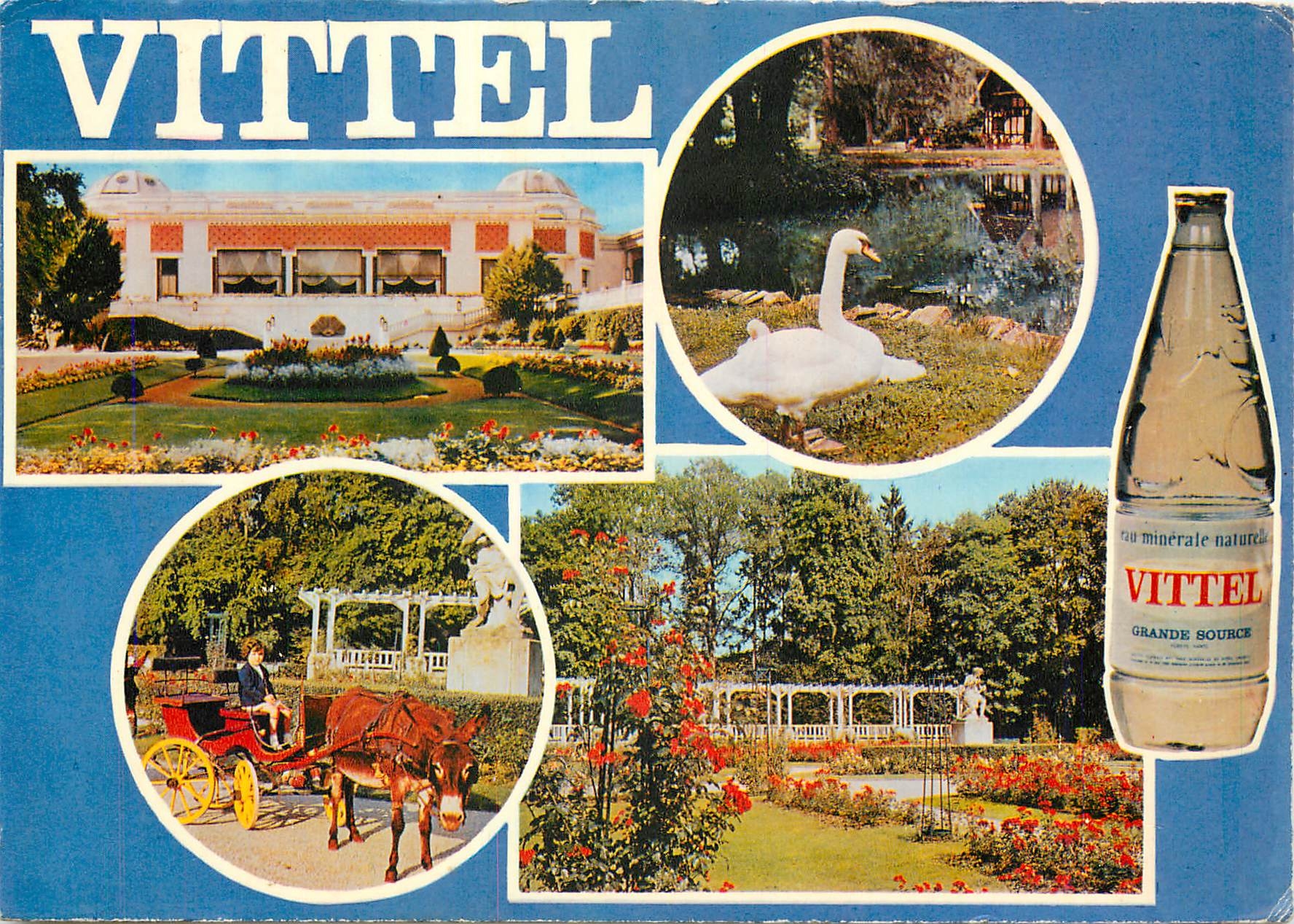 CPM Vittel Vosges Le Casino Les Cygnes Promenade La roseraie 
