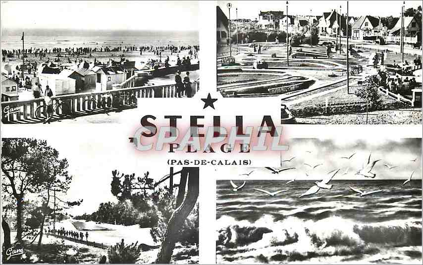 CPM Au Coeur de la Cote d'Opale Stella Plage P de C 