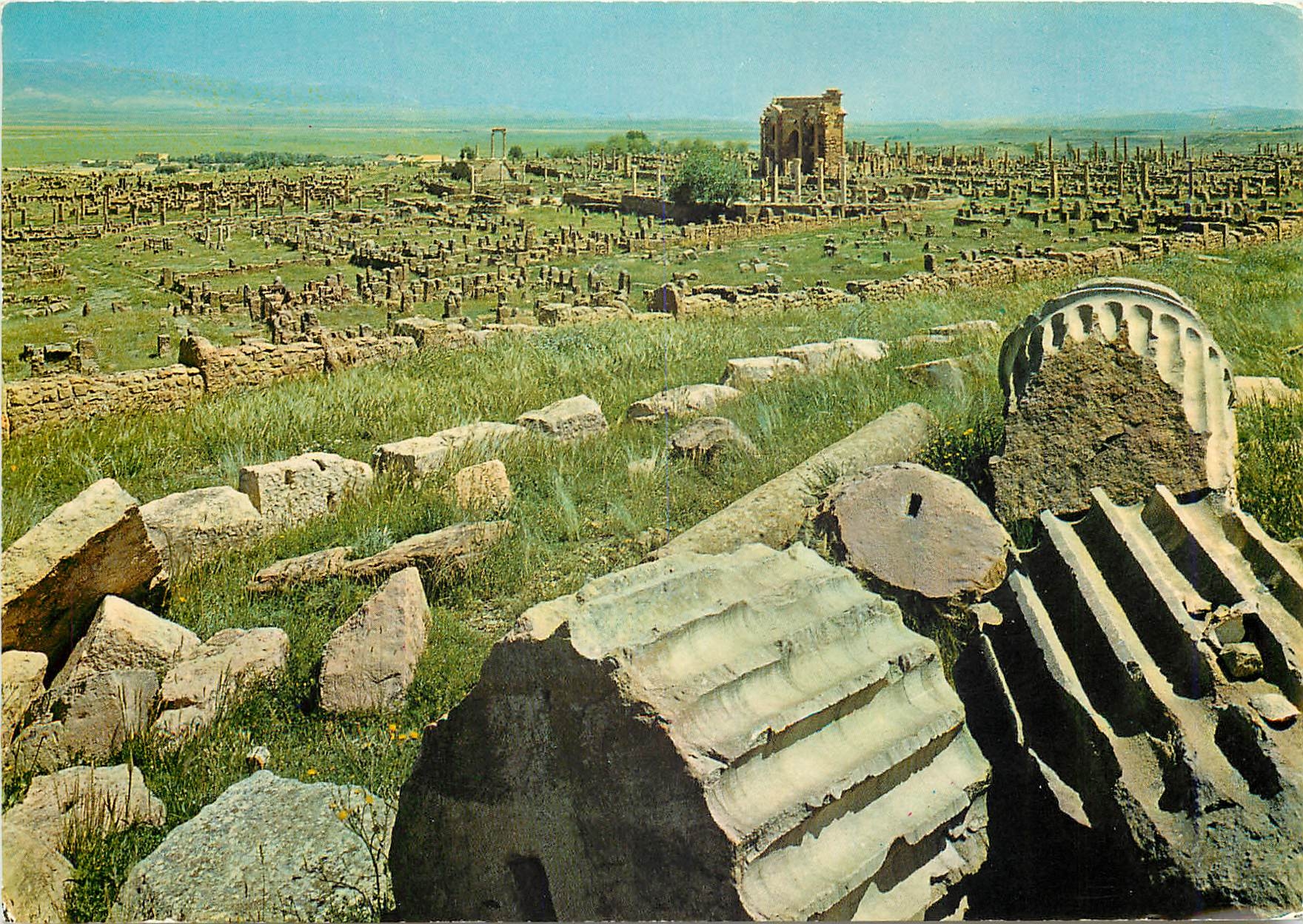 CPM Algeria Timgad Les Ruines Romaines 