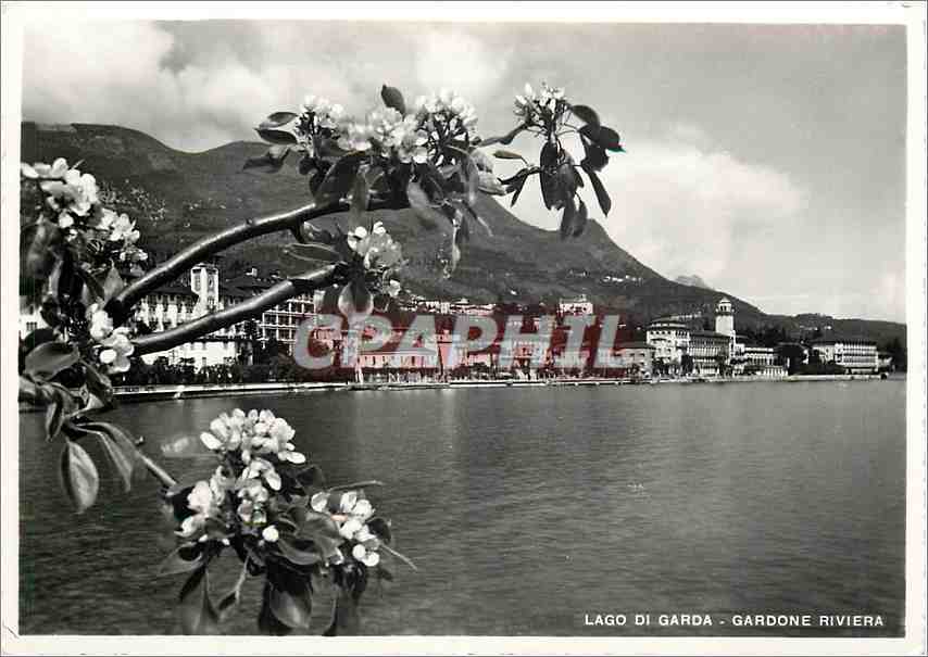 CPM Lago di Garda Gardone Riviera 