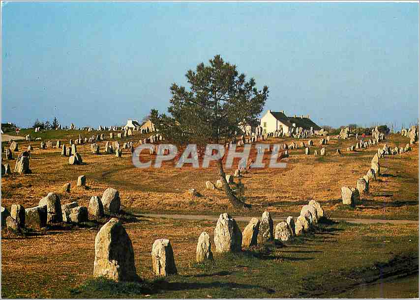 CPM Carnac Morbihan Les alignements du Menec 
