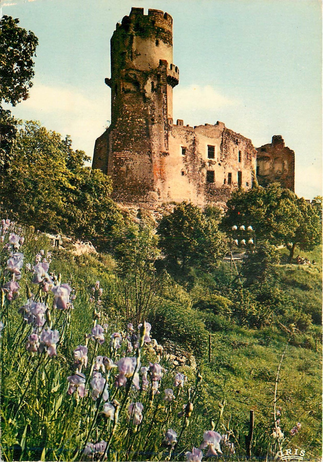 CPA L'Auvergne Volvic Env de Chatelguyon Chateau de Tournoel 