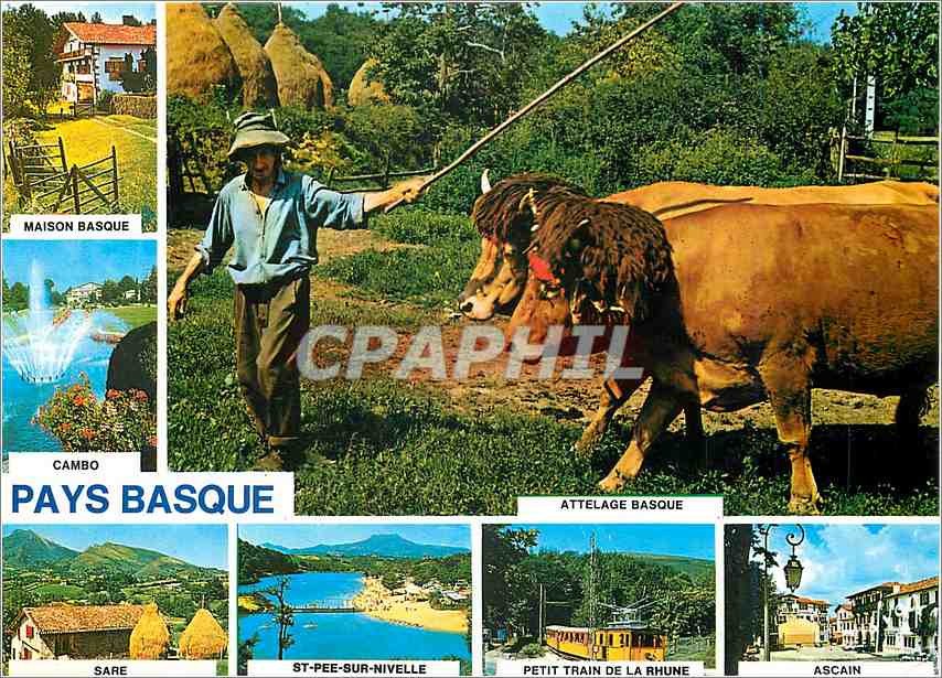 CPM Le Pays Basque Pyrenees Atlantiques Maison Basque aux environs de Sare 