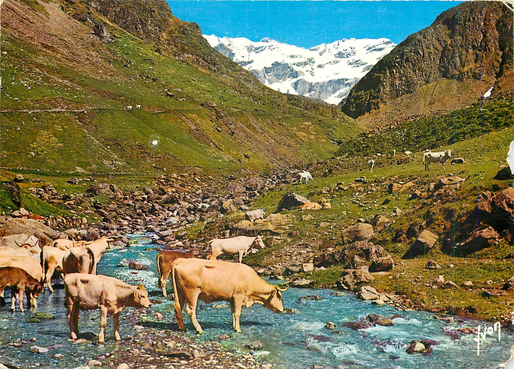 CPM Couleurs et Lumiere de France Vallee Pyreneenne 