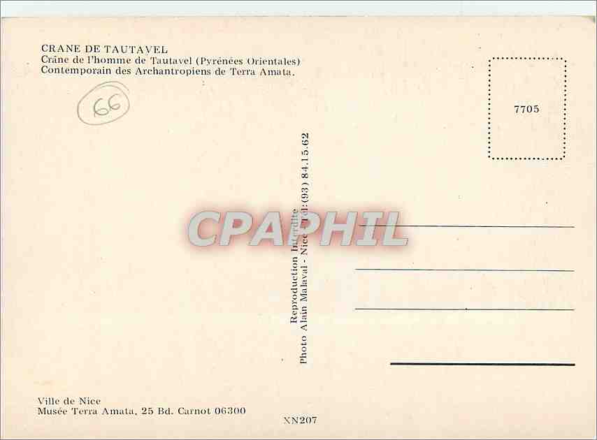 CPM Crane de Tautavel Crane de l'homme de Tautavel Pyrenees Orientales  — Rückseite