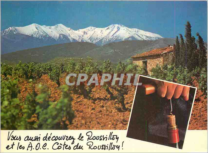 CPM Le Mont Canigou Roussillon France 
