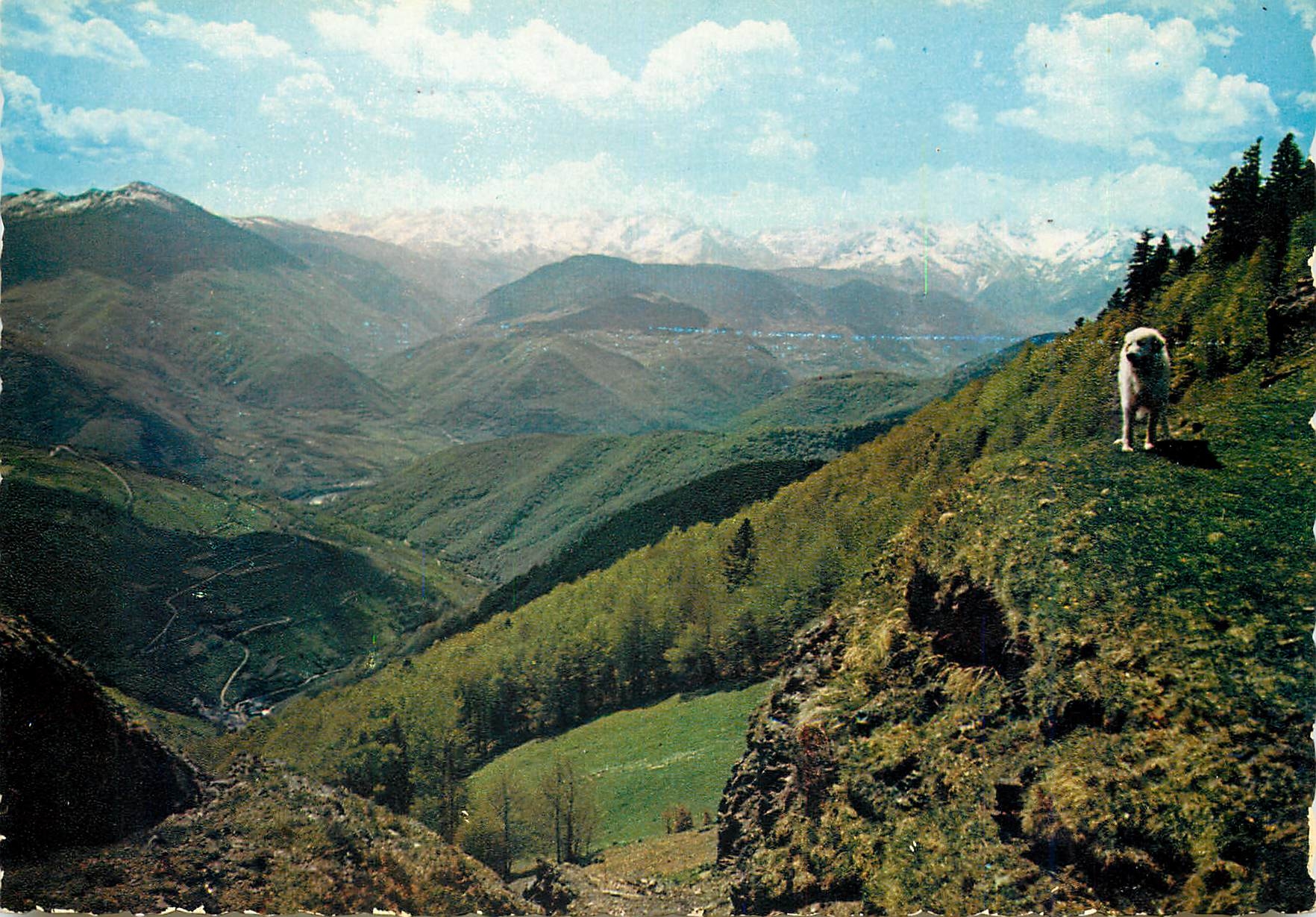 CPM Les Pyrenees Du col d'Aspin panorama sur la Chaine 