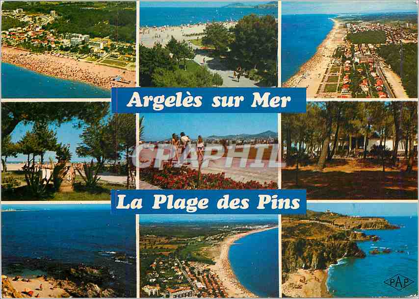 CPM Argeles sur Mer Le Racou La plage des pins 