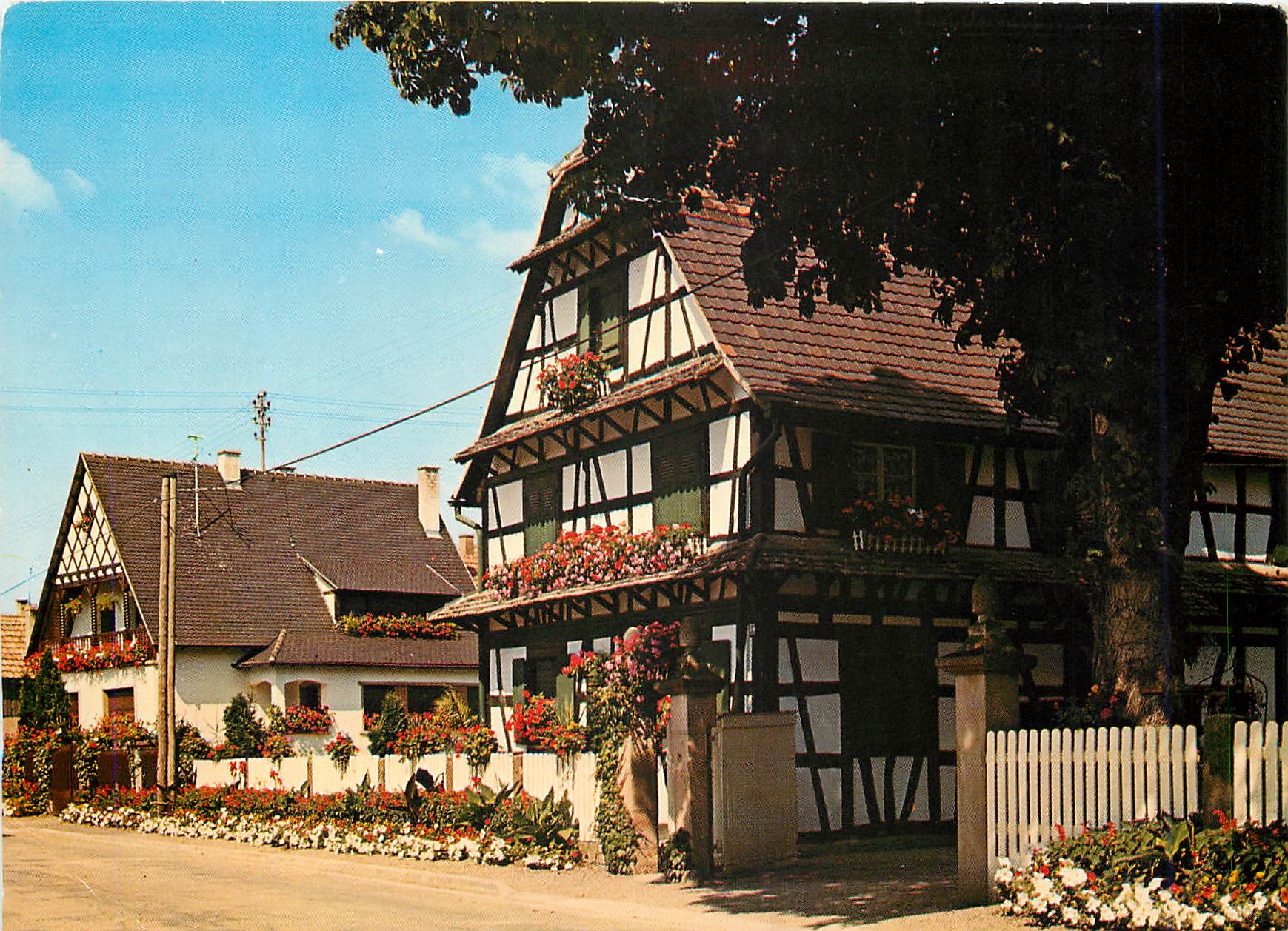 CPM Maison Alsacienne de la Plaine Diebolsheim Bas Rhin 