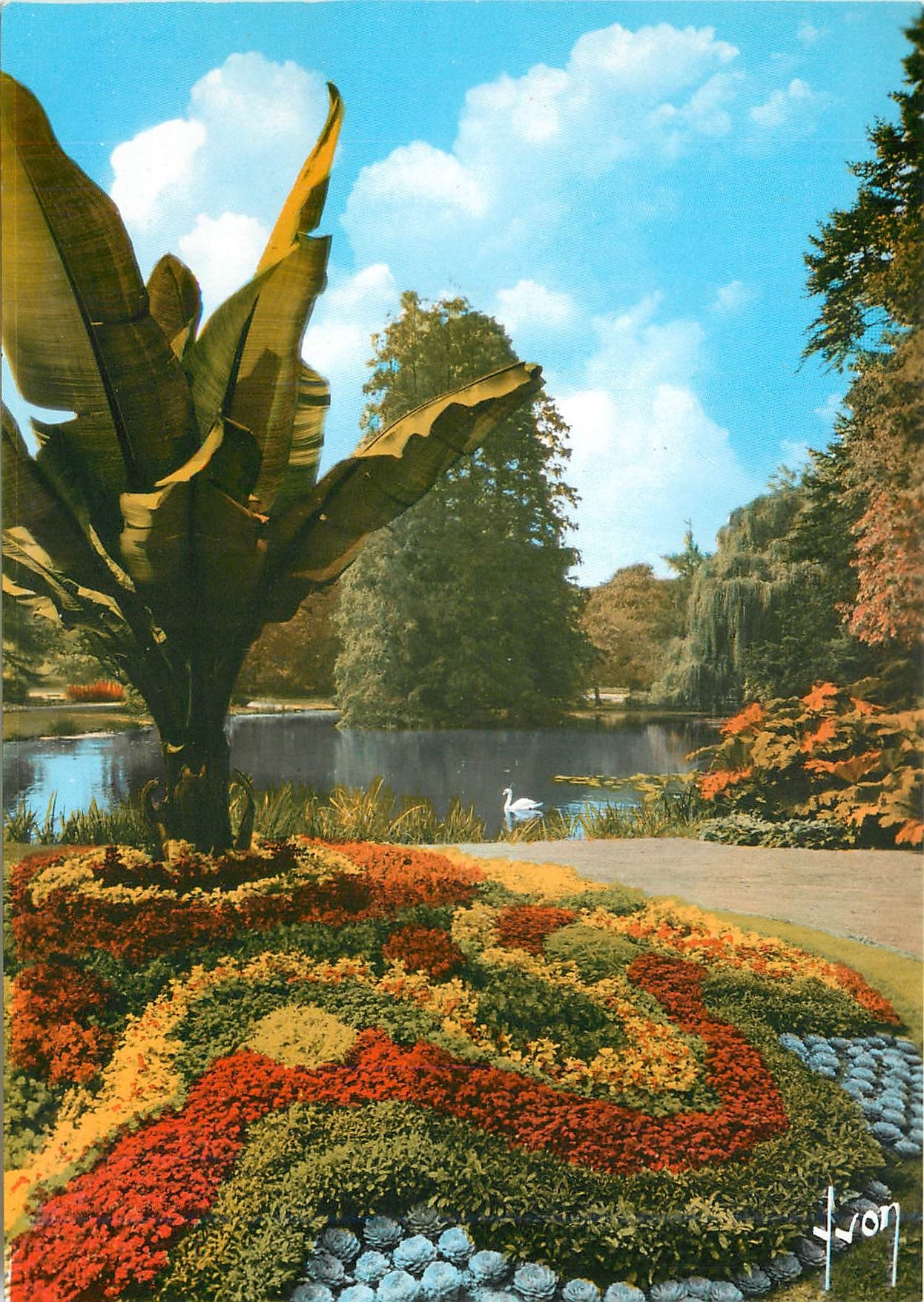 CPM Le Mans Sarthe En flanant a Travers le Jardin Public 