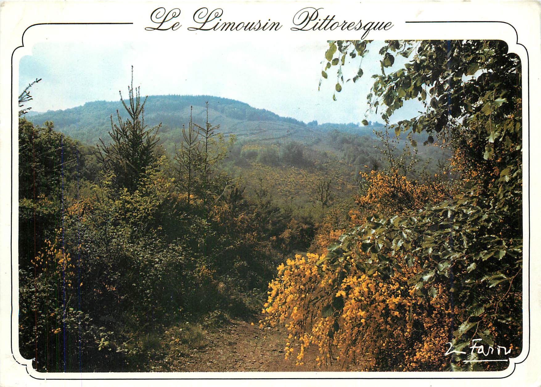 Le Limousin Pittoresque — vue de forêt et collines — édition F. Farin, n°2