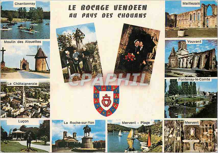 CPM Le Bocage Vendeen au pays des Chouans Chantonnay Maillezais Chataigneraie