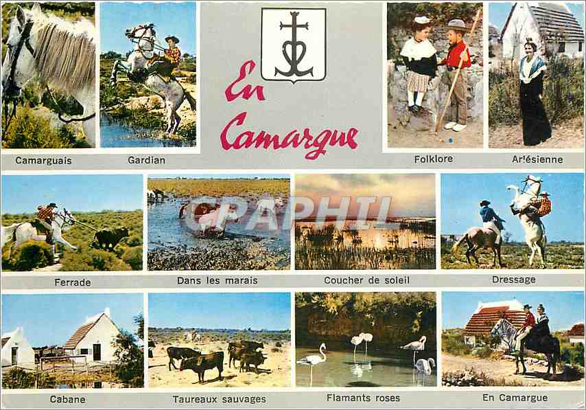 CPM En Camargue Camarguais Folklore Arlesienne 