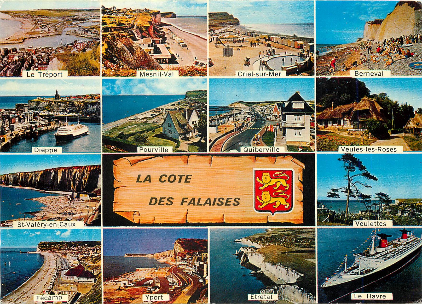CPM La Cote des Falaises Seine Maritime Le Treport Mesni
