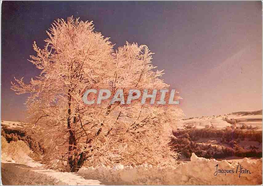 CPM Arbre