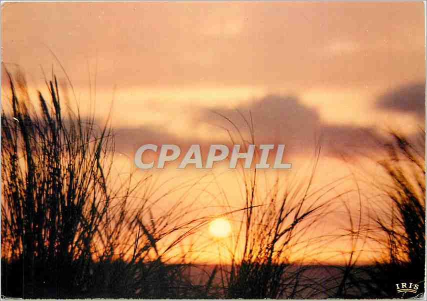 CPM Cote Atlantique Le Couchant rubanne des sept 