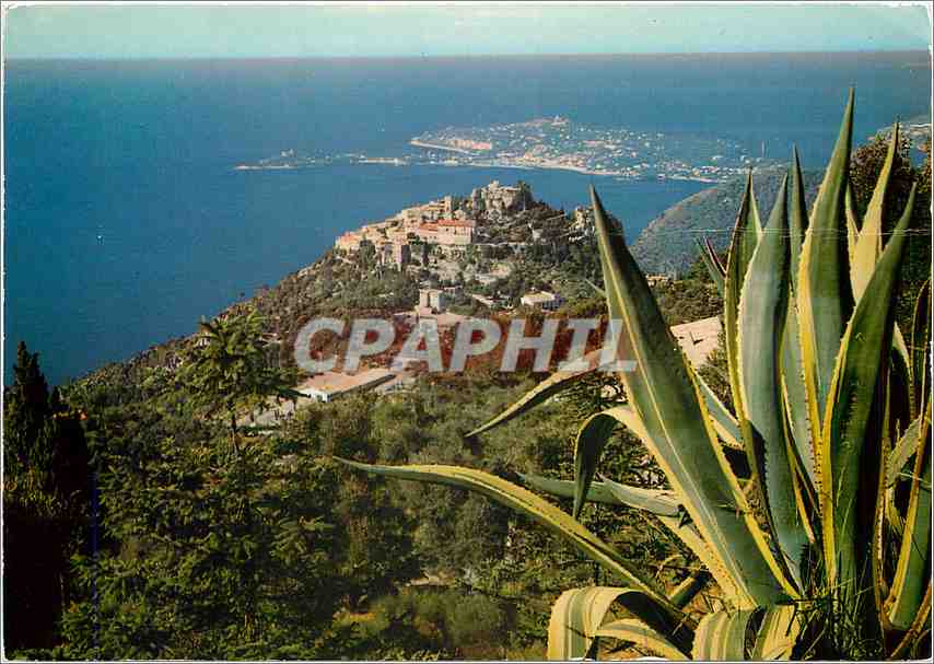 CPM Eze Vue Panoramique au fond le Cap Ferrat 