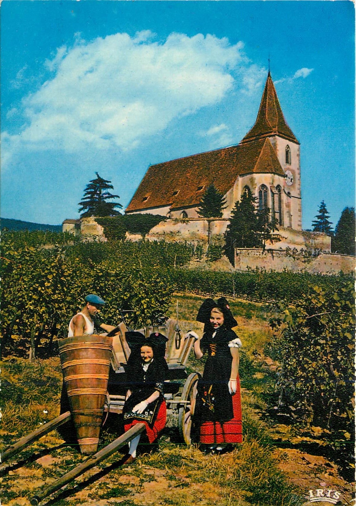 CPM L'Alsace Pittoresque Vendanges a Hunawihr devant l'Eglise 