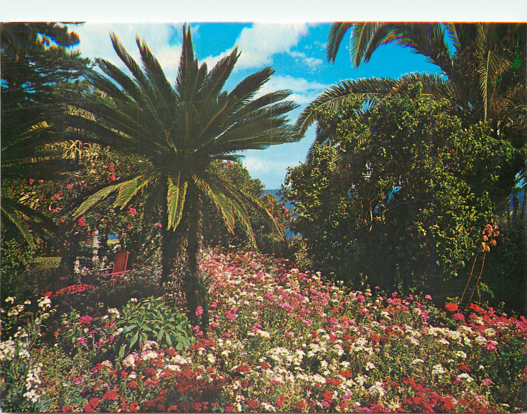 CPM Funchal Madeira Tropical garden 