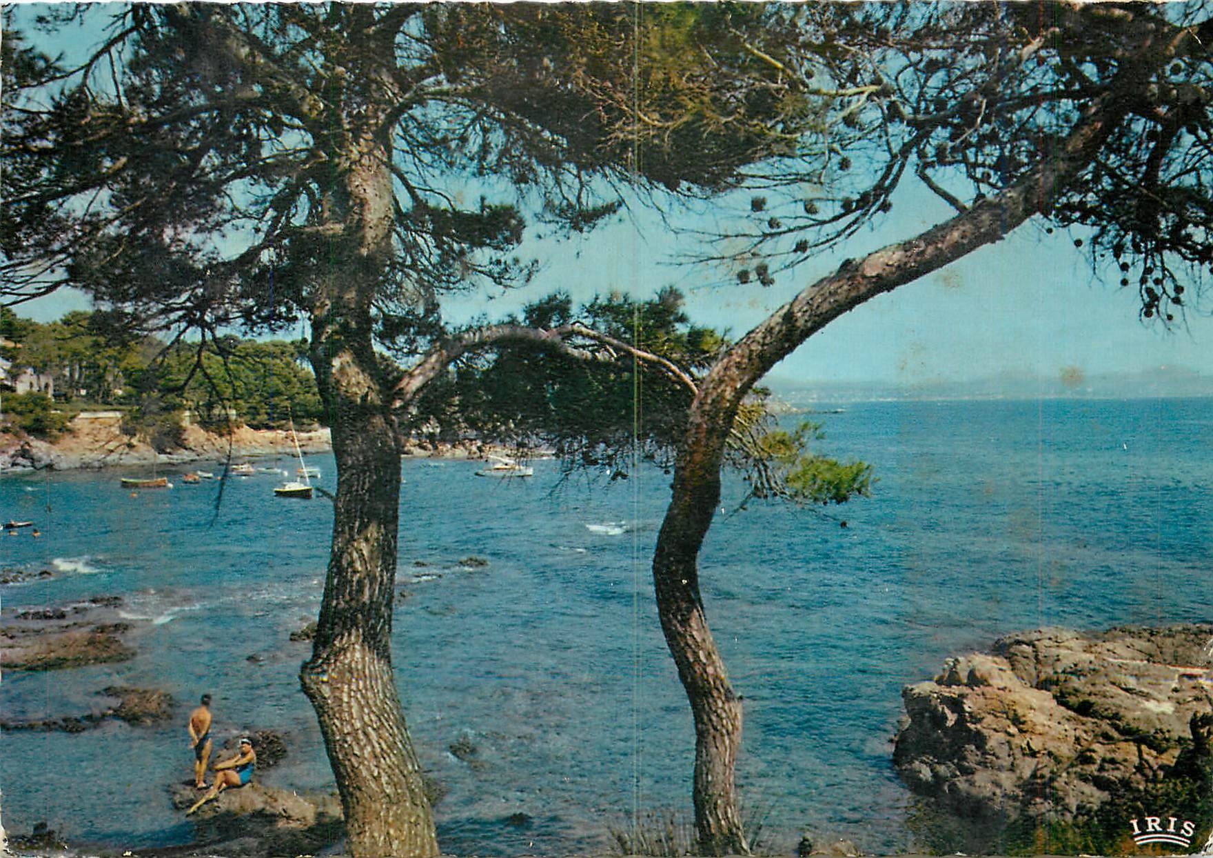 CPM Reflets de la Cote d'Azur Pinedes au bord de la mer 
