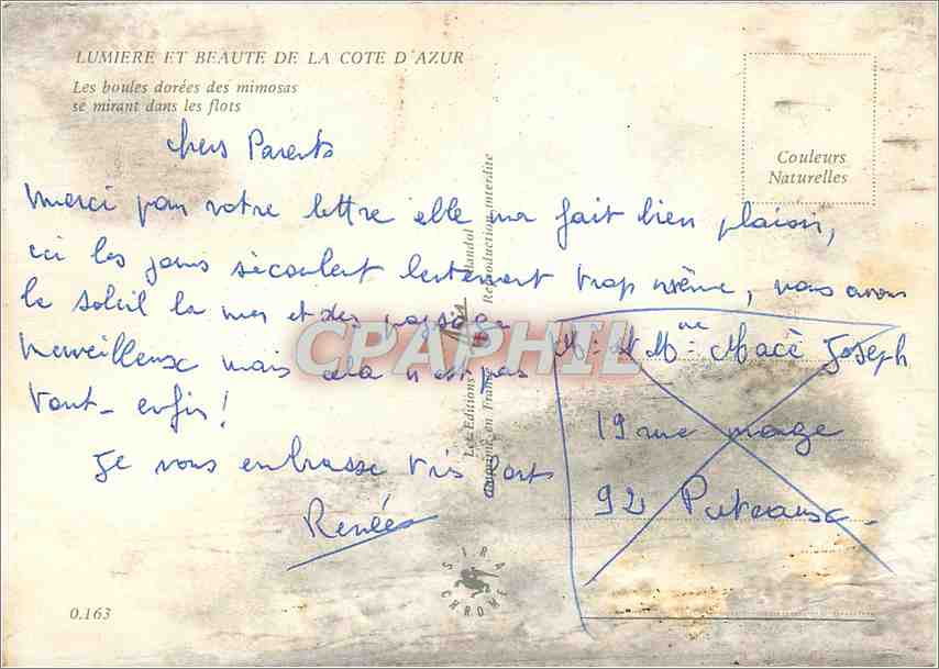 Vue de la Côte d'Azur — Mimosas dorés au bord de la mer — Éditions CPHIL — Verso