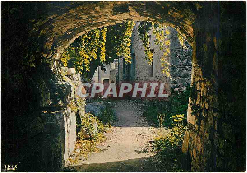 CPM Ardeche Pittoresque Vieille rue Medievale a Balazuc 
