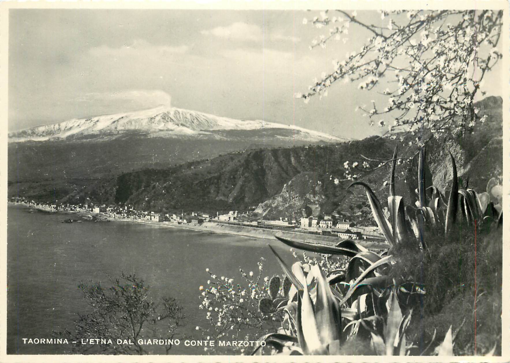 CPM Taormina L'Etna dal Giardino Conte Marzotte 