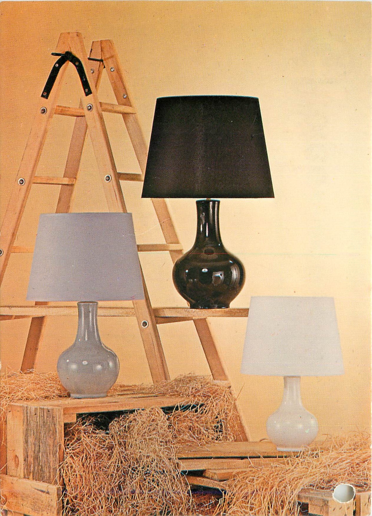 CPM Lampes d'Albret Paon Ref 