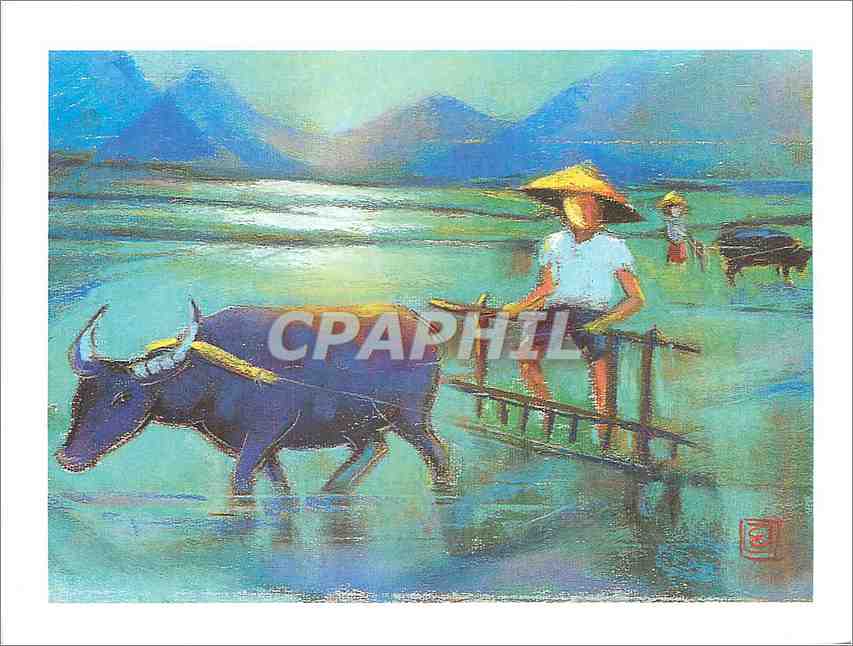 CPM Le Labour Creation de Chou Sundara 