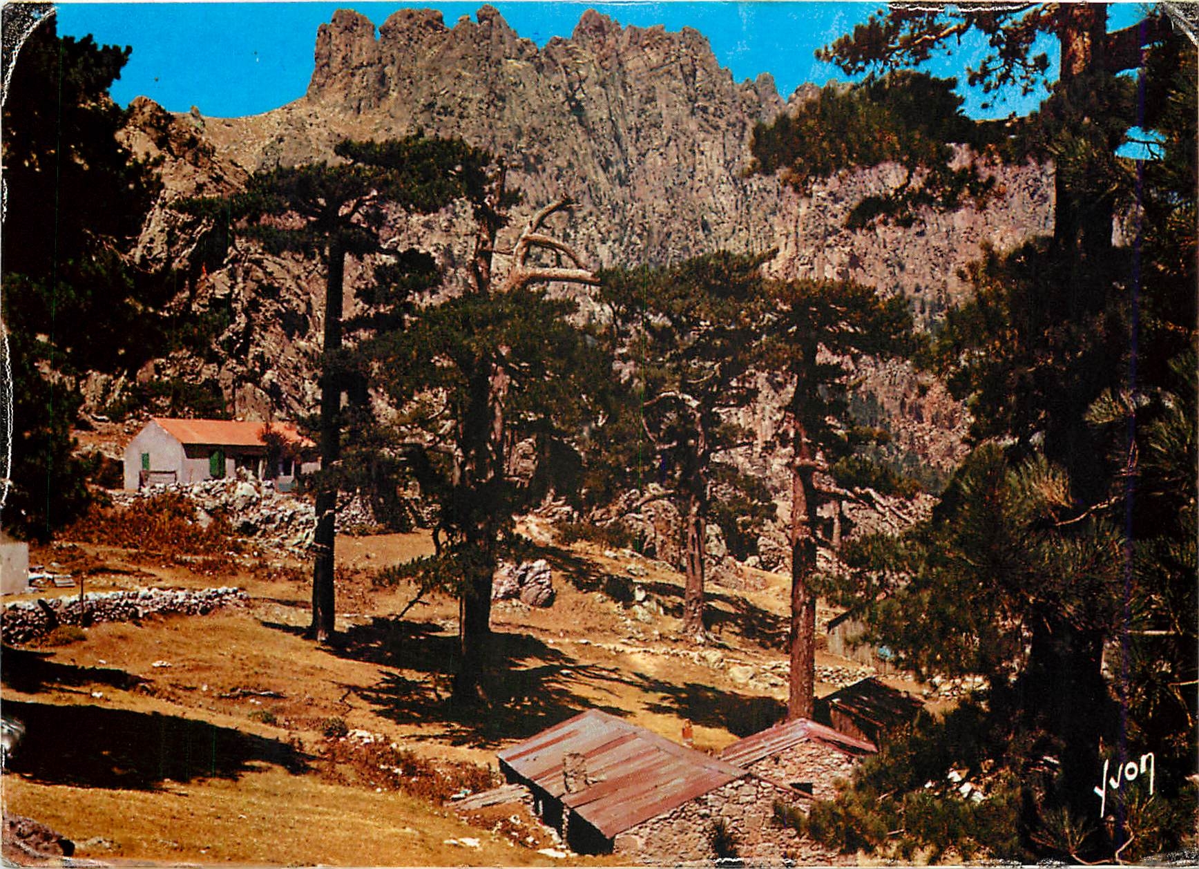 CPM La Corse oasis de Beaute Bavella Corse Foret aux environs du col 