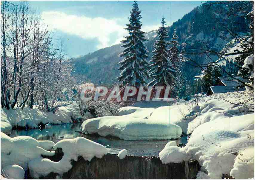 CPM Image de nos montagnes en Hiver Jeux de neige a travers les sapins 
