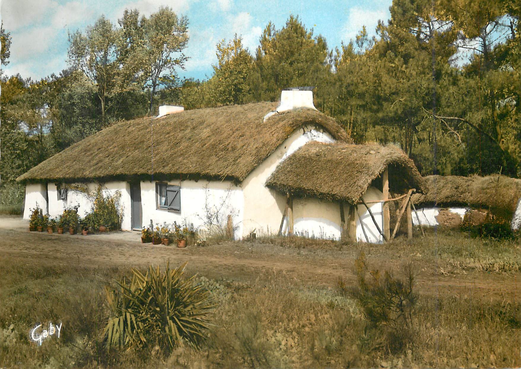 CPM Au pays de Monts Bourine Vendeenne 
