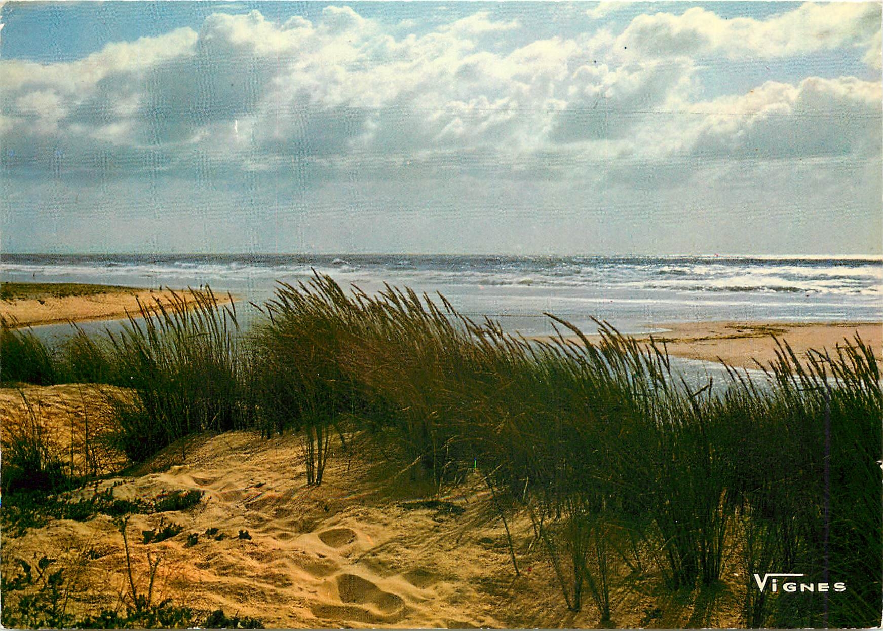 CPM Visages des Landes Contre jour sur l'Ocean 