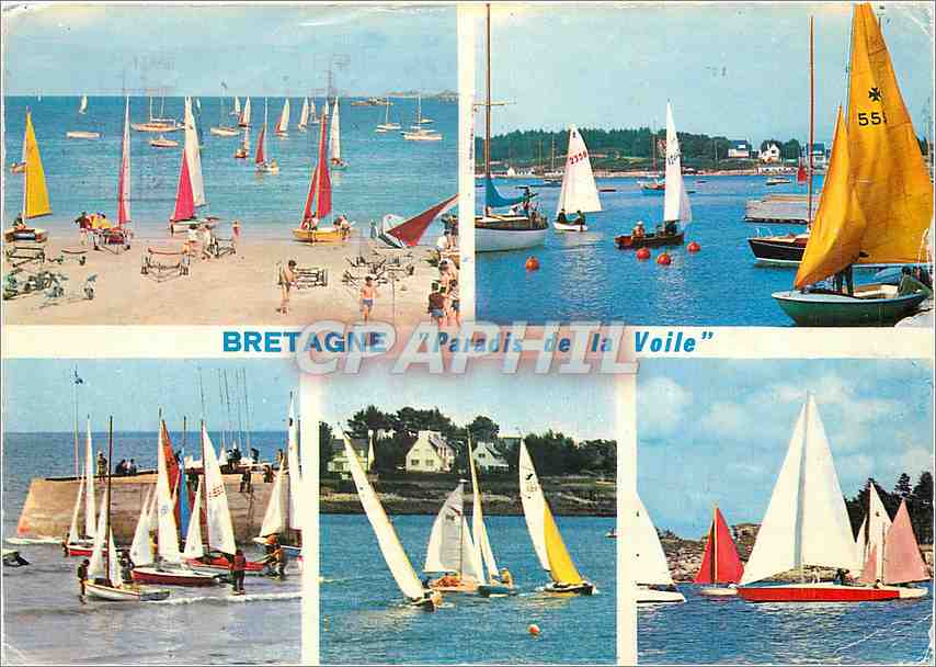 CPM Couleurs de Bretagne Paradis de la voile 