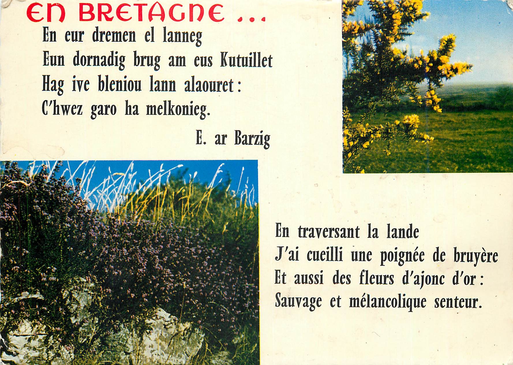 CPM En Bretagne En eur dremen et lanneg 