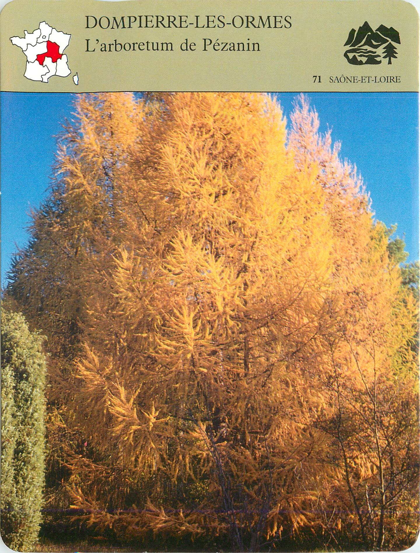 Fiche illustree Dompierre les Ormes L'arboretum de Pezanin 
