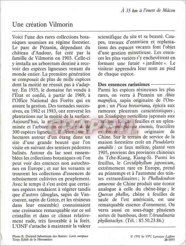 Fiche illustree Dompierre les Ormes L'arboretum de Pezanin  — Rückseite