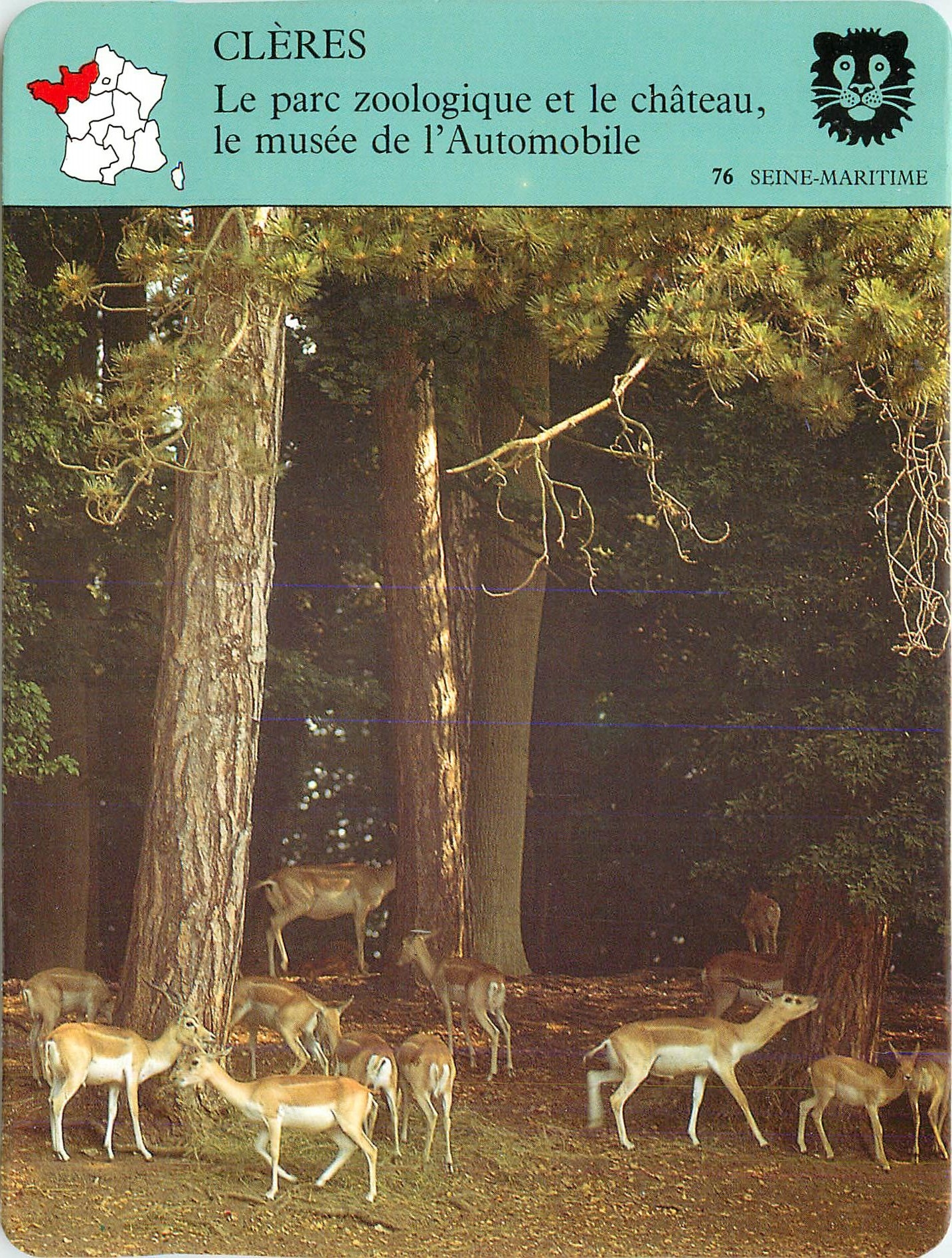 Fiche illustree Cleres Le parc zoologique et le chateau le musee de l'Automobile 